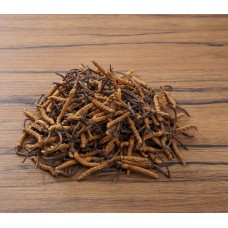 西藏冬蟲夏草 (120-130支/兩)